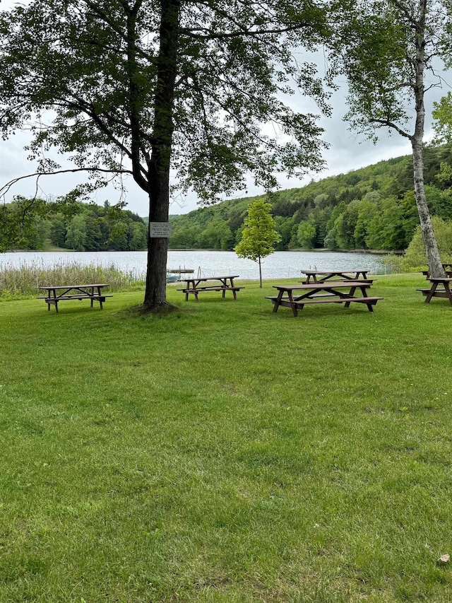 191 Highland Rd, Wallingford, VT 05773 - view of property's community featuring a lawn, a wooded view, and a water view