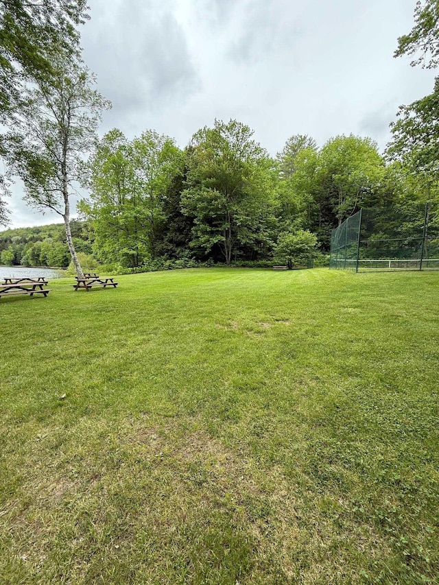 191 Highland Rd, Wallingford, VT 05773 - view of yard