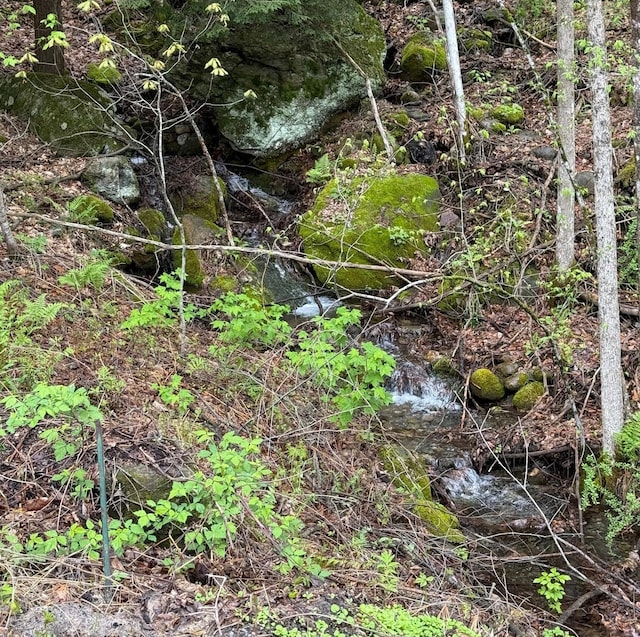 191 Highland Rd, Wallingford, VT 05773 - view of local wilderness