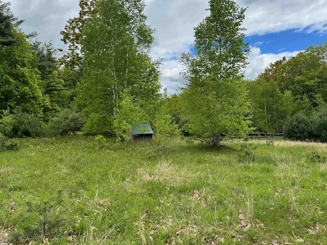 149 John Hodgdon Rd, Ossipee, NH 03864 - view of yard featuring a wooded view
