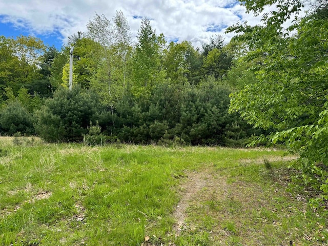 149 John Hodgdon Rd, Ossipee, NH 03864 - view of undeveloped land