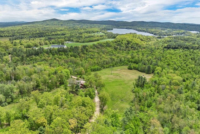 74 Bartlett Rd, Barnstead, NH 03225 - drone / aerial view of a heavily wooded area and a water and mountain view