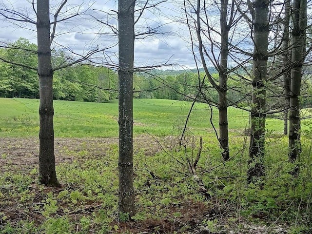 0 W Cobble Hill Rd, Barre Town, VT 05641