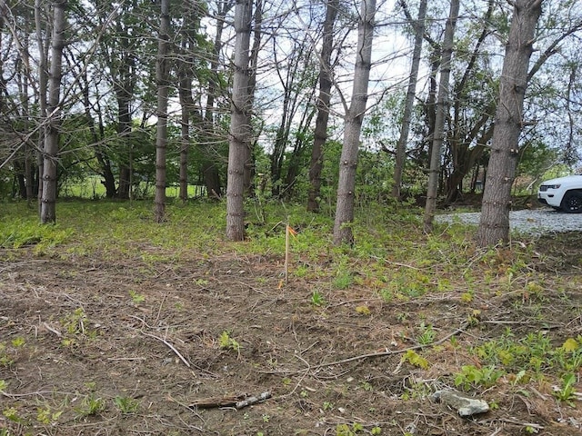 0 W Cobble Hill Rd, Barre Town, VT 05641