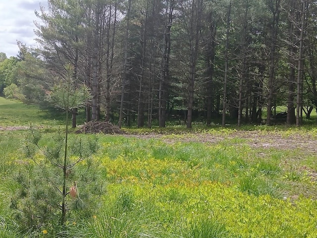 0 W Cobble Hill Rd, Barre Town, VT 05641