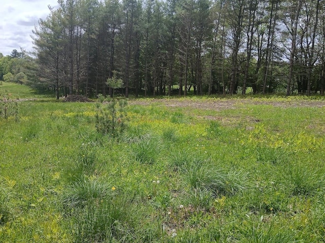 0 W Cobble Hill Rd, Barre Town, VT 05641