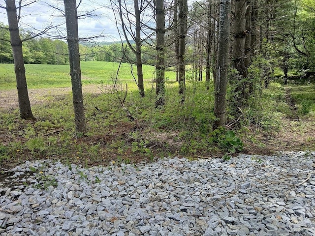 0 W Cobble Hill Rd, Barre Town, VT 05641