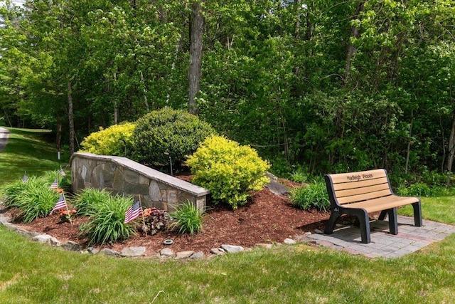10 Hadleigh Rd, Windham, NH 03087 - view of property's community featuring a yard