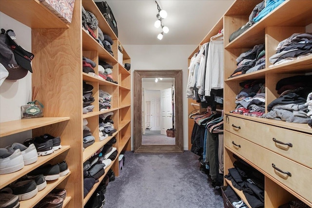 26 Pinnacle Dr, South Burlington, VT 05403 - spacious closet featuring dark carpet