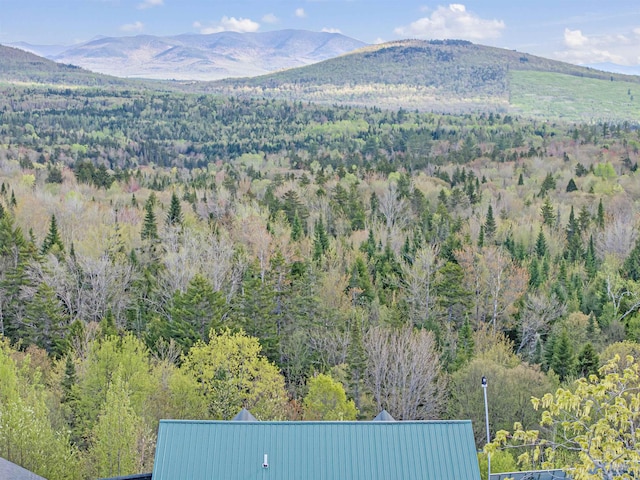 174 Sky View Rd, Stratford, NH 03590 - mountain view with a forest
