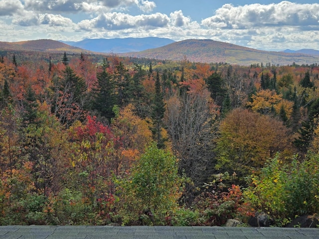 174 Sky View Rd, Stratford, NH 03590 - mountain view with a forest