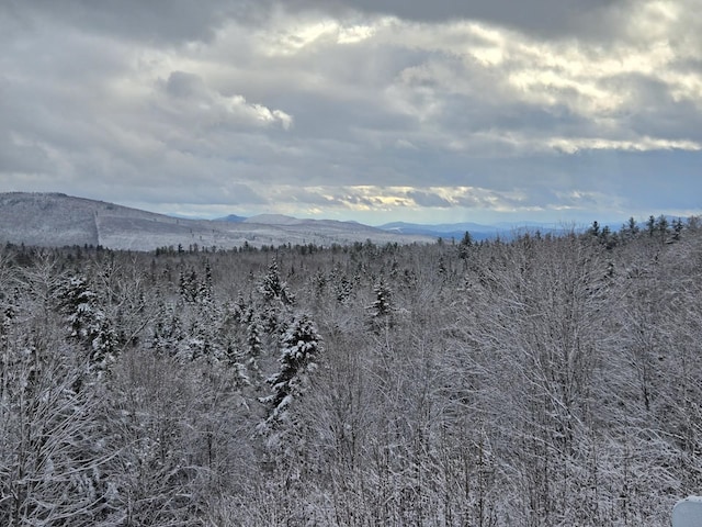 174 Sky View Rd, Stratford, NH 03590 - mountain view