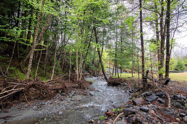 364 Spaulding Rd, Saint Johnsbury, VT 05819 - view of tree filled area