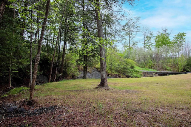 364 Spaulding Rd, Saint Johnsbury, VT 05819 - view of green lawn featuring a view of trees
