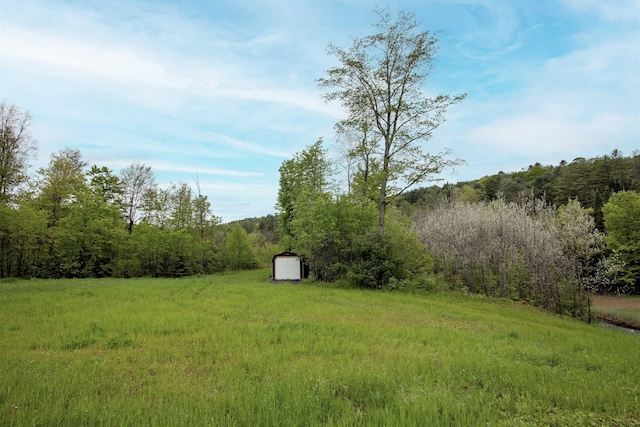 364 Spaulding Rd, Saint Johnsbury, VT 05819 - view of yard with a wooded view