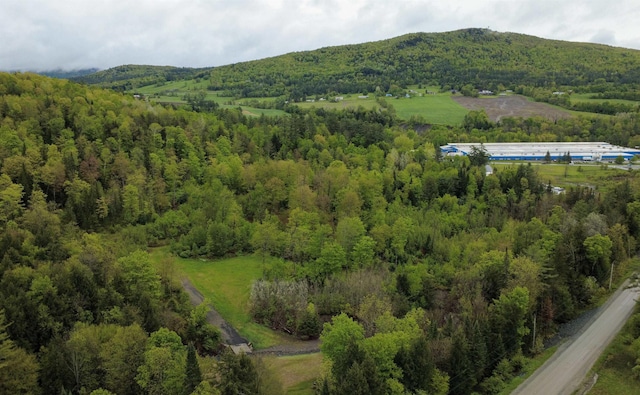 364 Spaulding Rd, Saint Johnsbury, VT 05819 - mountain view featuring a heavily wooded area