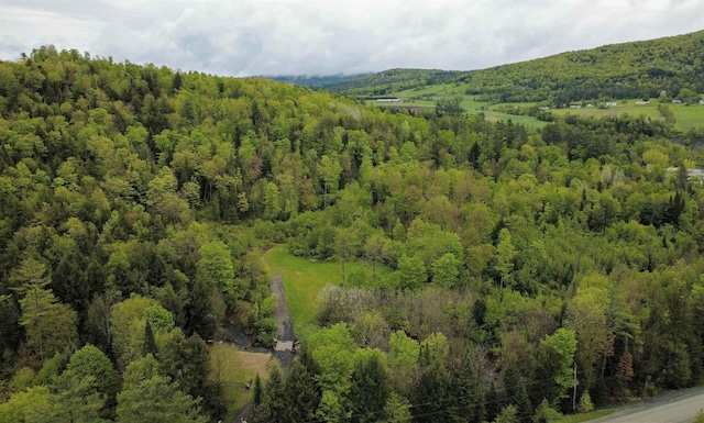 364 Spaulding Rd, Saint Johnsbury, VT 05819 - mountain view with a forest