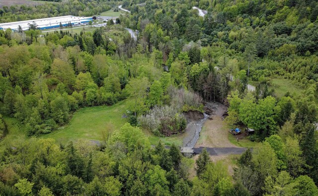 364 Spaulding Rd, Saint Johnsbury, VT 05819 - aerial overview of property's location with a forest