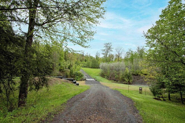 364 Spaulding Rd, Saint Johnsbury, VT 05819 - view of street with a view of trees