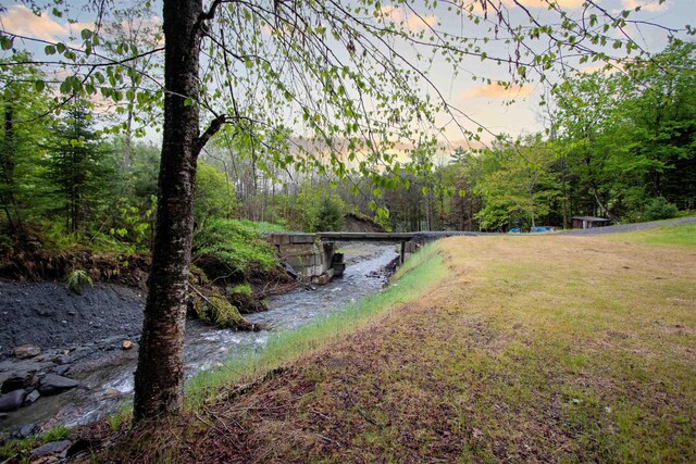 364 Spaulding Rd, Saint Johnsbury, VT 05819 - view of yard with a wooded view
