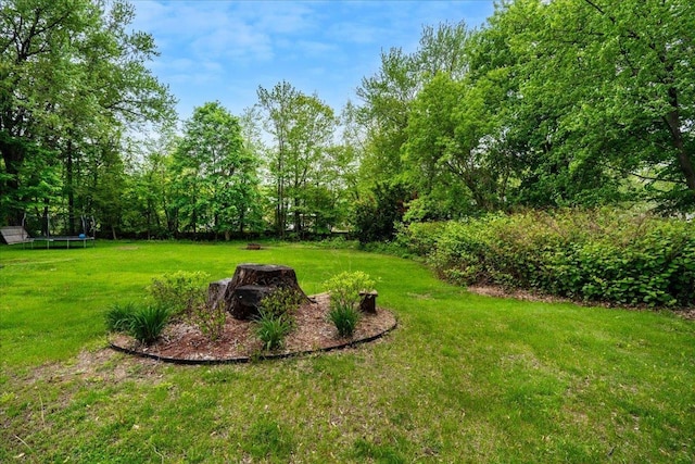 19 Overland St, Laconia, NH 03246 - view of green lawn with a trampoline