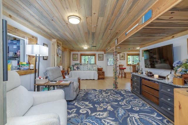 110 Nh Dr, Webster, NH 03303 - living room featuring wood finished floors, plenty of natural light, and wooden ceiling