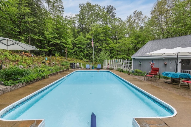 110 Nh Dr, Webster, NH 03303 - view of swimming pool featuring a fenced backyard and a patio