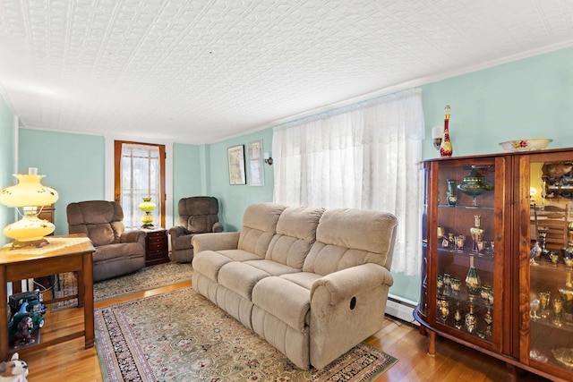 166 New Boston Rd, Goffstown, NH 03045 - living area featuring wood finished floors and baseboard heating