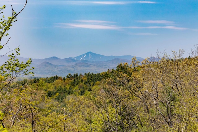 0 Shagbark Ln, Williston, VT 05495
