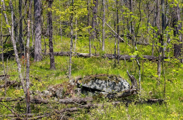 0 Shagbark Ln, Williston, VT 05495