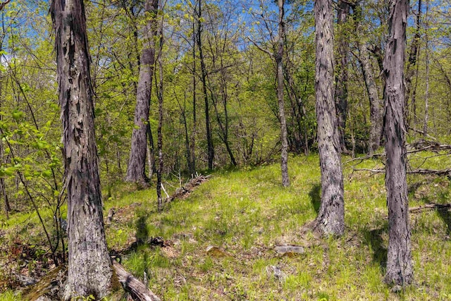 0 Shagbark Ln, Williston, VT 05495