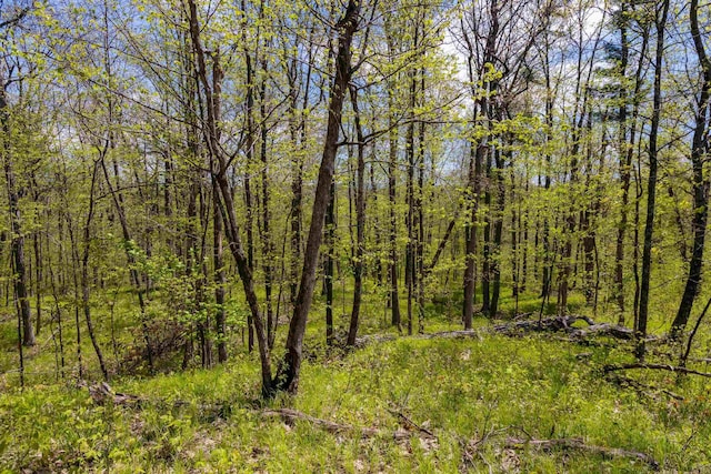 0 Shagbark Ln, Williston, VT 05495