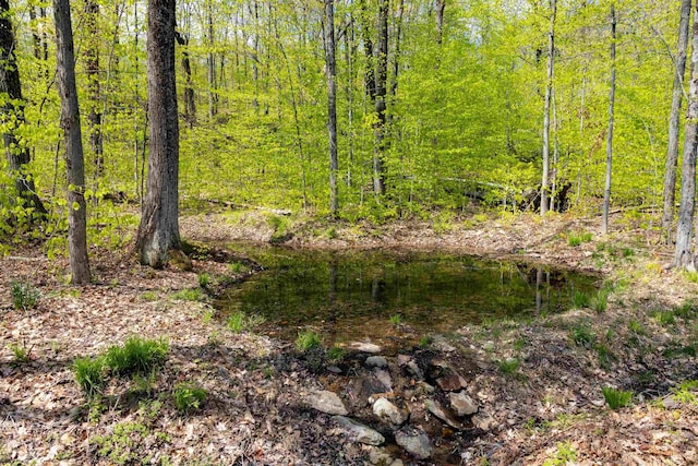 0 Shagbark Ln, Williston, VT 05495