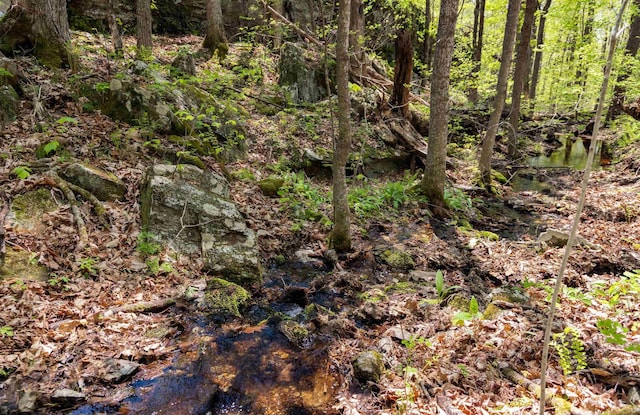 0 Shagbark Ln, Williston, VT 05495
