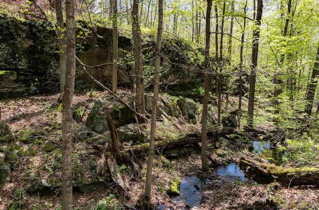 0 Shagbark Ln, Williston, VT 05495