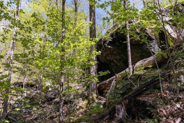 0 Shagbark Ln, Williston, VT 05495