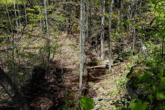 0 Shagbark Ln, Williston, VT 05495