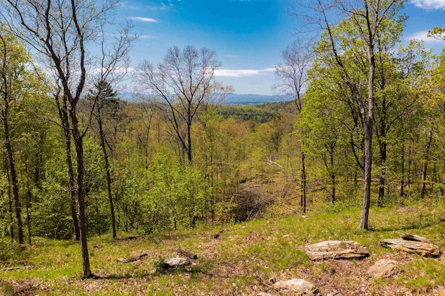 0 Shagbark Ln, Williston, VT 05495