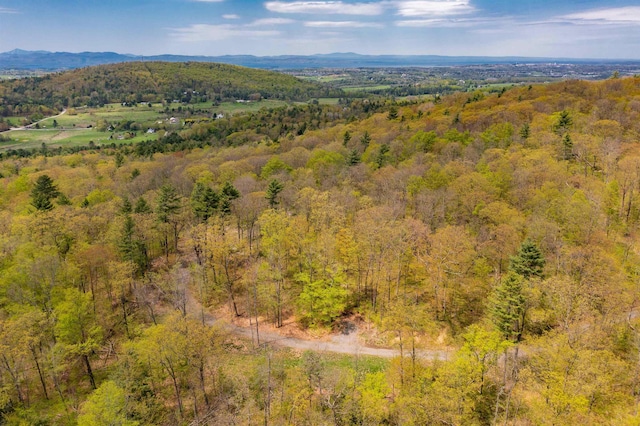 0 Shagbark Ln, Williston, VT 05495