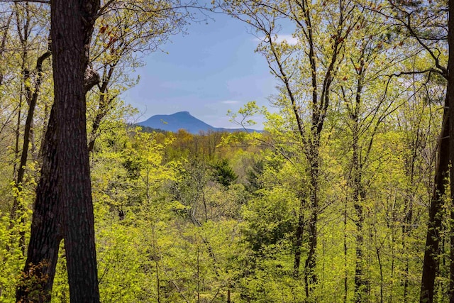 0 Shagbark Ln, Williston, VT 05495