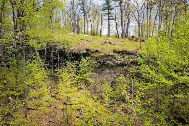 0 Shagbark Ln, Williston, VT 05495