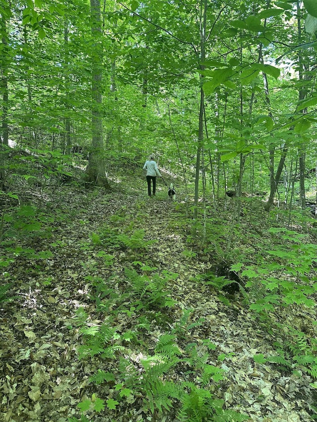 0 Shagbark Ln, Williston, VT 05495