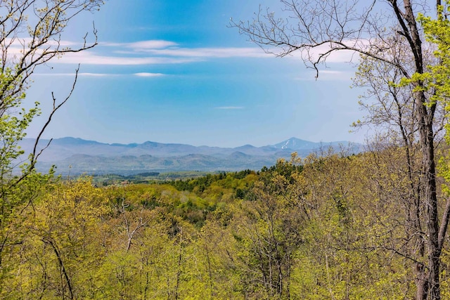 0 Shagbark Ln, Williston, VT 05495