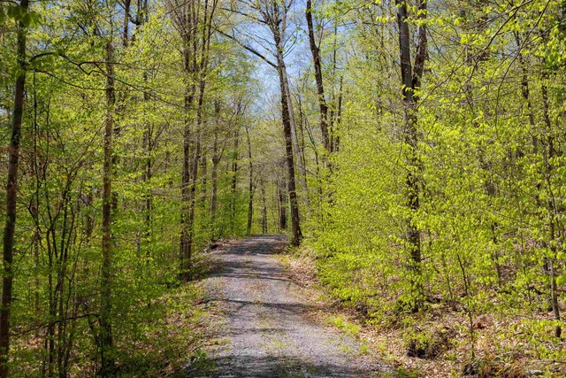 0 Shagbark Ln, Williston, VT 05495