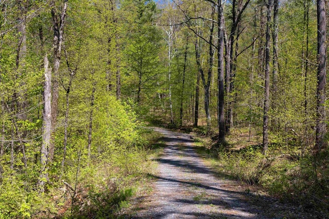 0 Shagbark Ln, Williston, VT 05495
