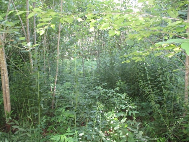 00 Arnold Ln, Wolcott, VT 05680