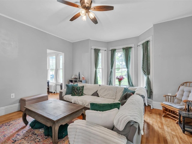 65 Congress St, Saint Albans City, VT 05478 - living area with radiator, ceiling fan, light wood-style flooring, crown molding, and baseboards