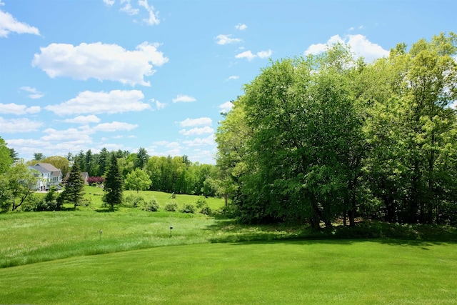 205 Mountain Rd, Concord, NH 03301 - view of green lawn