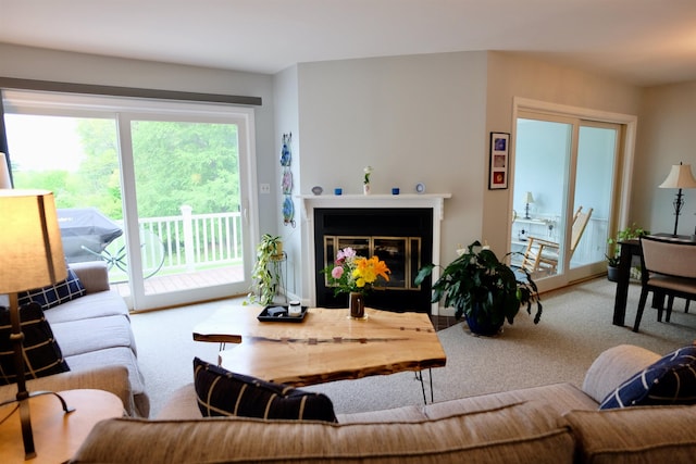 205 Mountain Rd, Concord, NH 03301 - living area featuring carpet flooring and a glass covered fireplace