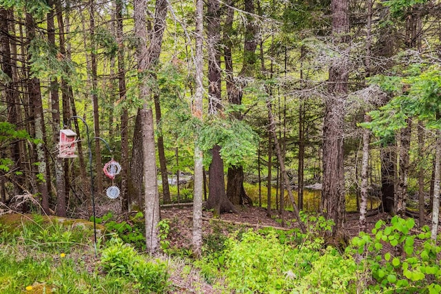8 Mill Pond Rd, Grantham, NH 03753 - view of woods